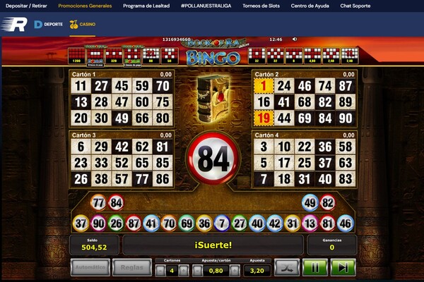 Características del Bingo